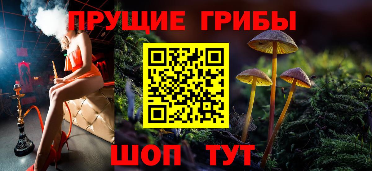 Узловая  Псилоцибиновые грибы прущие грибы  Вход с VPN 